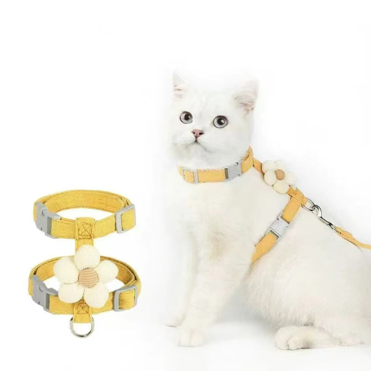 Sfdfc0147fbc54805a5b801d390c442a1D - Pet Centric