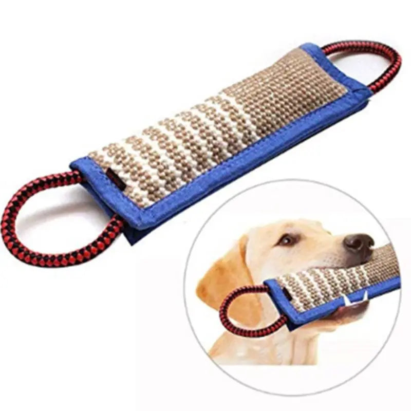 Sfe23e525da4942c6a35c83301f9e6b9ba - Pet Centric