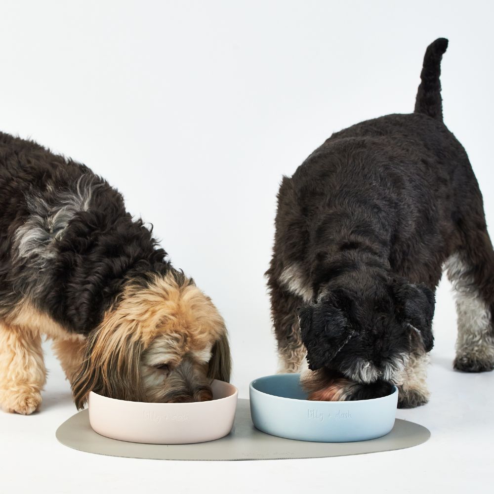 Lilly + Dash Ceramic Dog Bowl | Minimalist Design