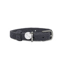 Untitled_design_4_ac254dda-149a-4780-9a20-9bf75822b2a9 - Pet Centric