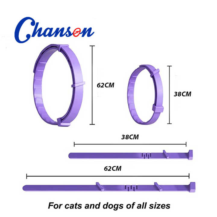 V888-ELOSUNG15280-214392-01 - Pet Centric