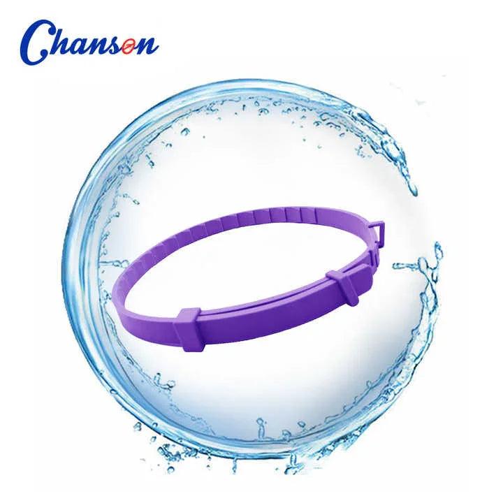 V888-ELOSUNG15280-214392-02 - Pet Centric