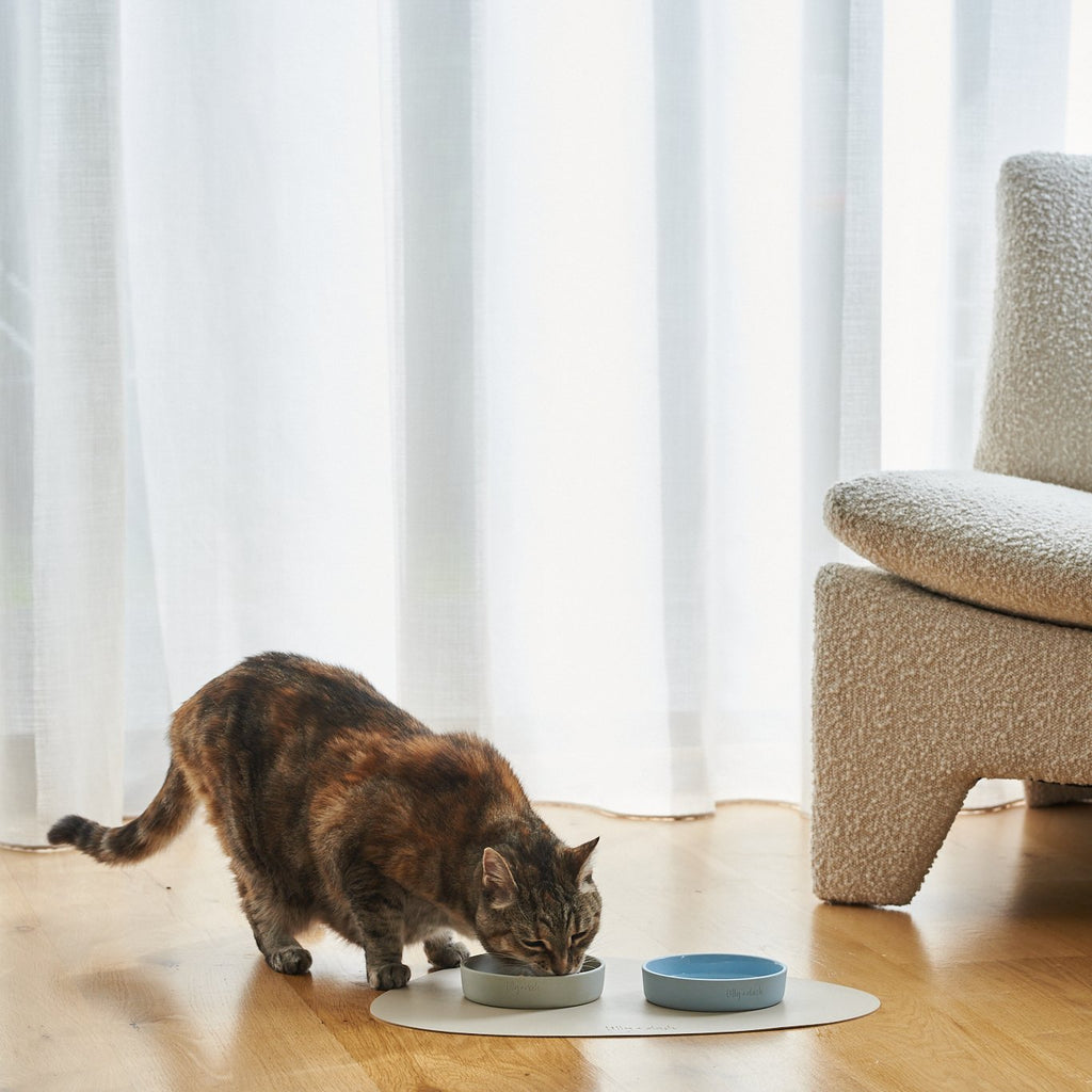 cat-bowl-cloud-225856 - Pet Centric