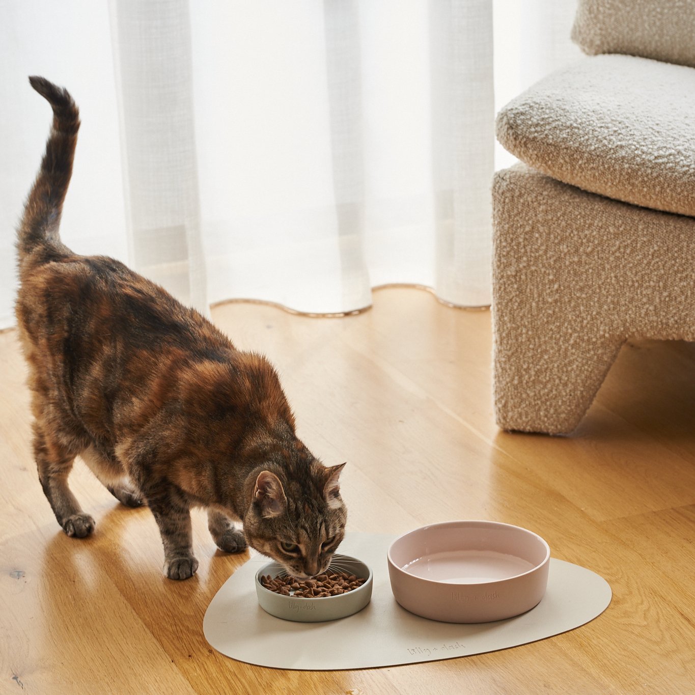 cat-bowl-cloud-322325 - Pet Centric