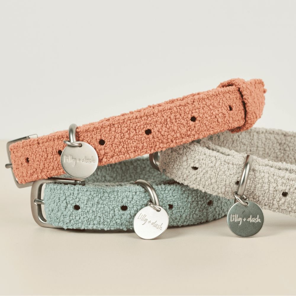 collar-sage-214266 - Pet Centric