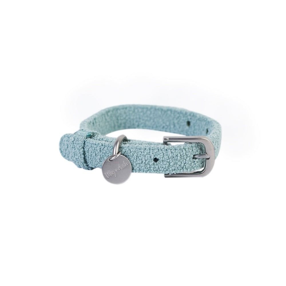collar-sage-846147 - Pet Centric