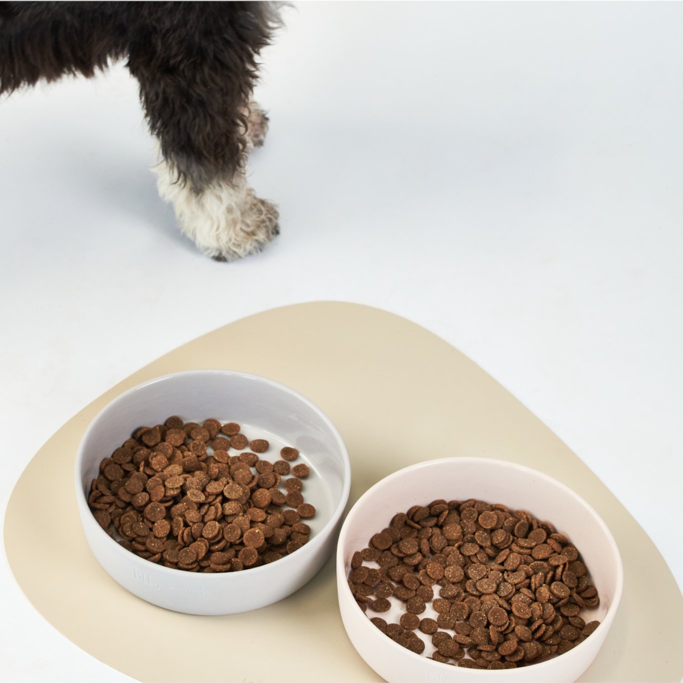dog-dining-set-591568_35fe3ed7-0ea1-4894-a7fb-23db6fb297f1 - Pet Centric