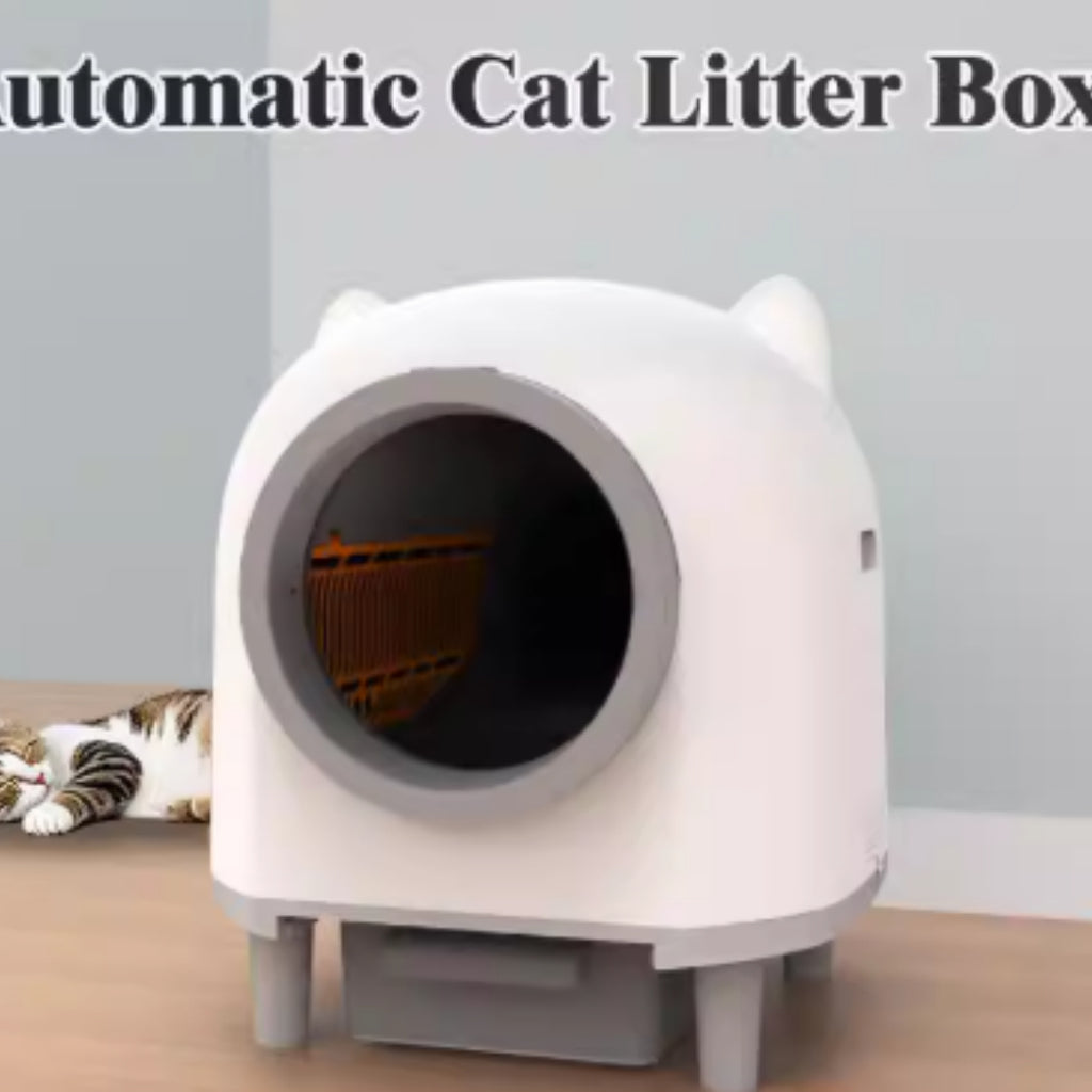 f7598802-5e87-495f-85ee-922a771a6cf6 - Pet Centric