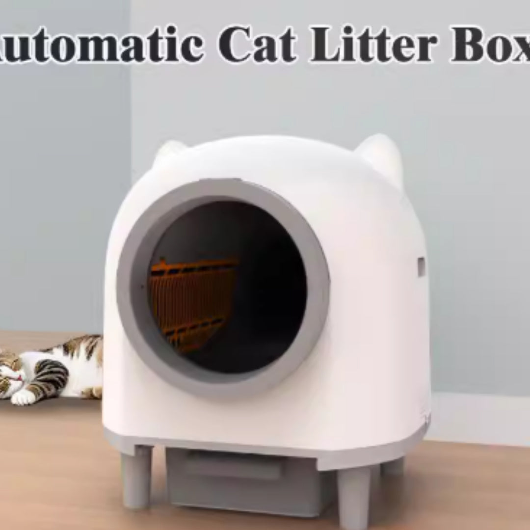 f7598802-5e87-495f-85ee-922a771a6cf6 - Pet Centric