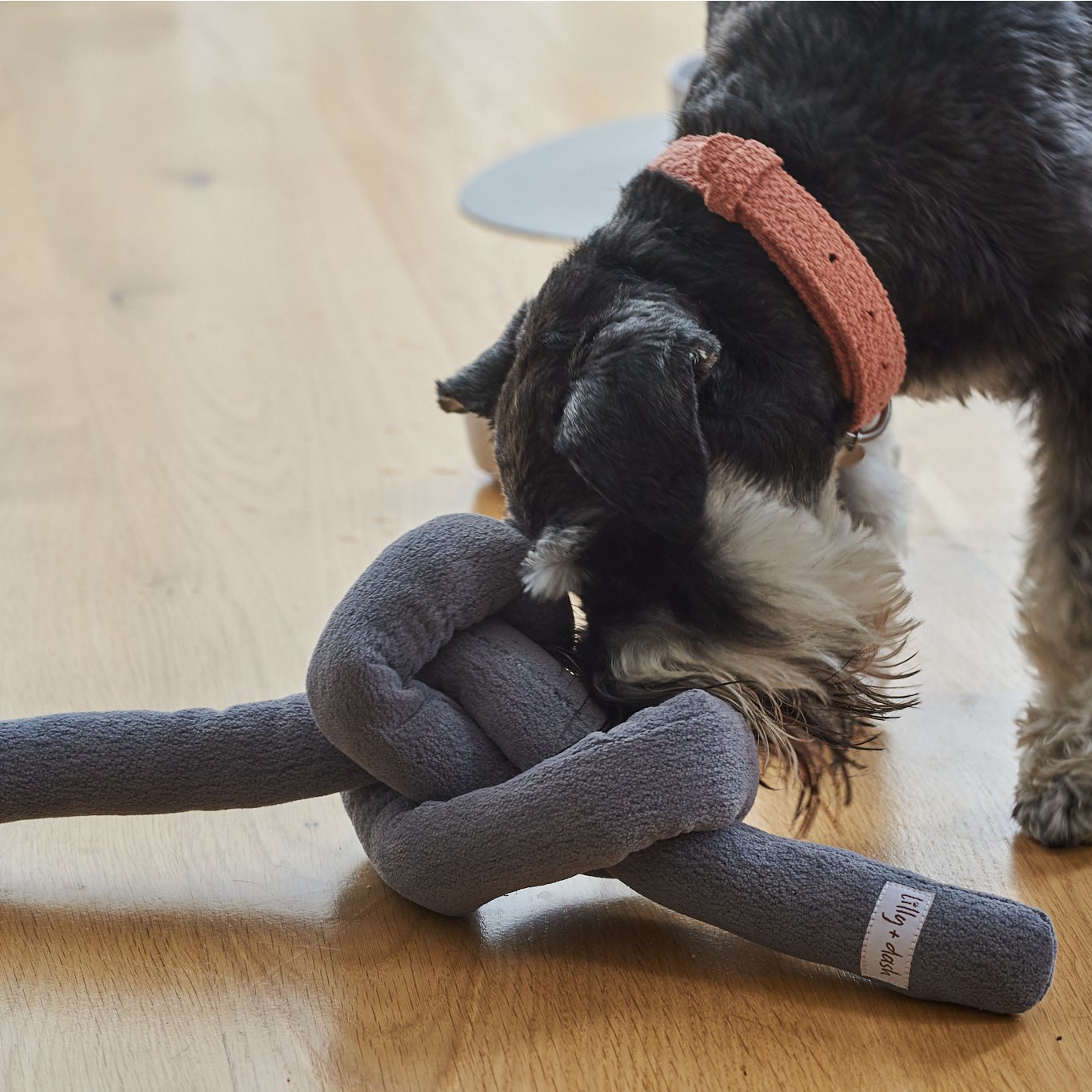knot-toy-charcoal-896767 - Pet Centric
