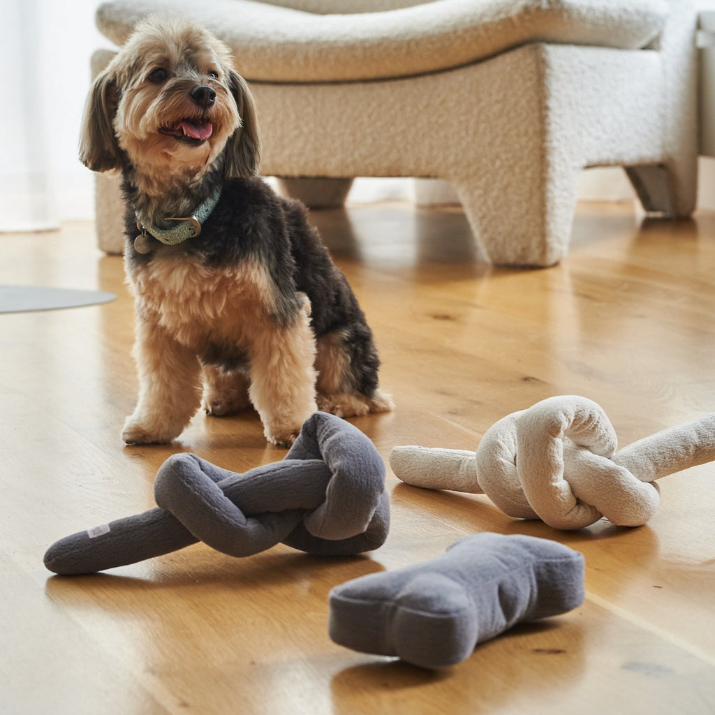 knot-toy-charcoal-938325 - Pet Centric