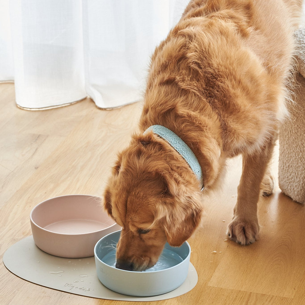 Lilly + Dash Ceramic Dog Bowl | Minimalist Design
