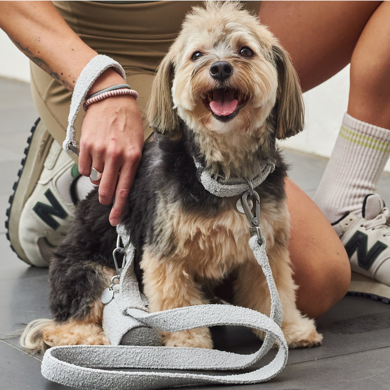 leash-cloud-741835 - Pet Centric