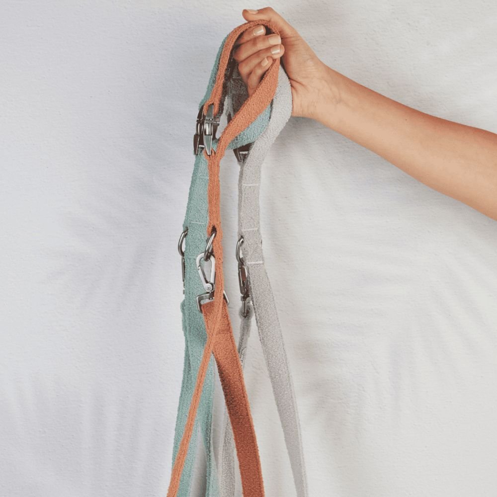 leash-cloud-932342 - Pet Centric
