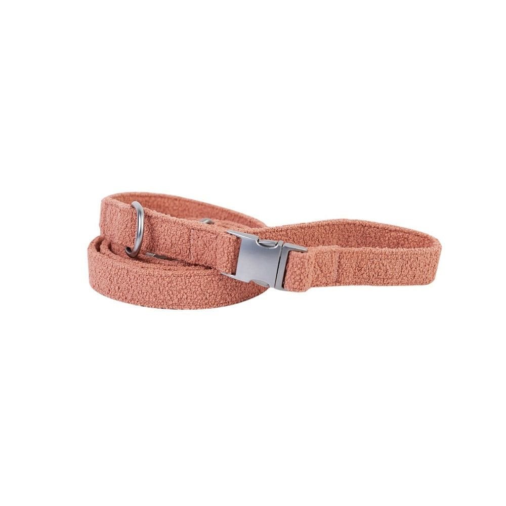 leash-terracotta-478290 - Pet Centric