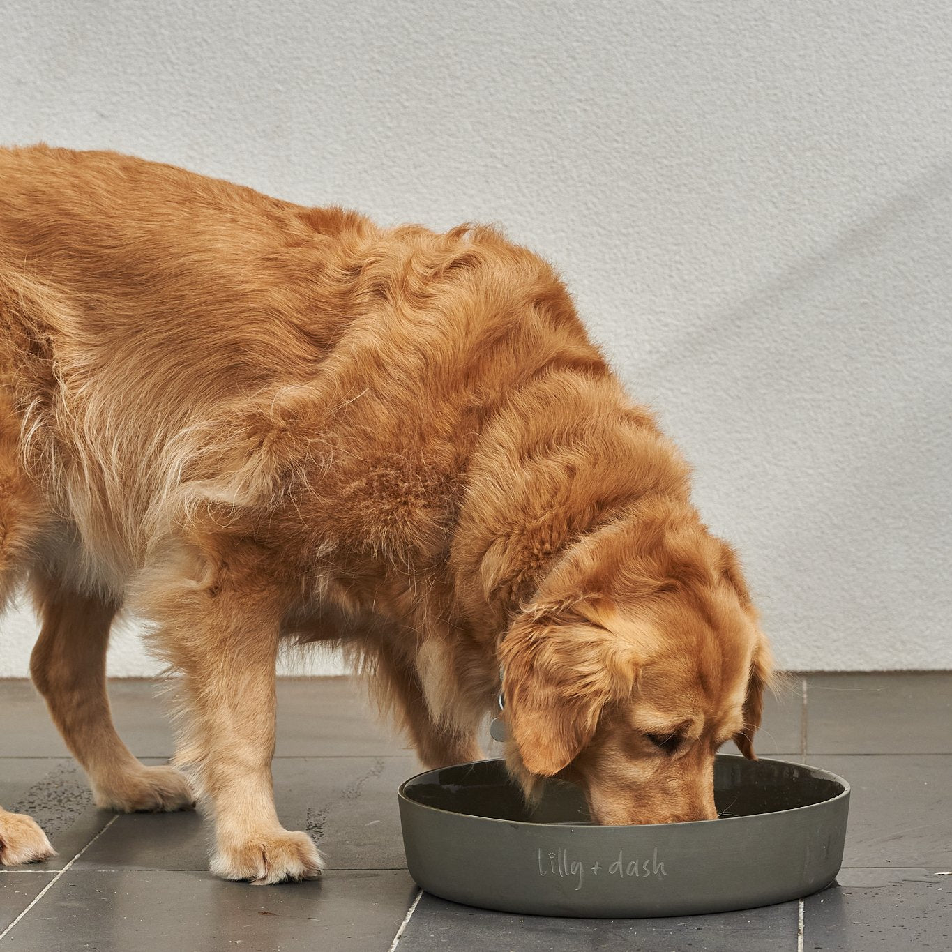 outdoor-water-bowl-charcoal-370221 - Pet Centric