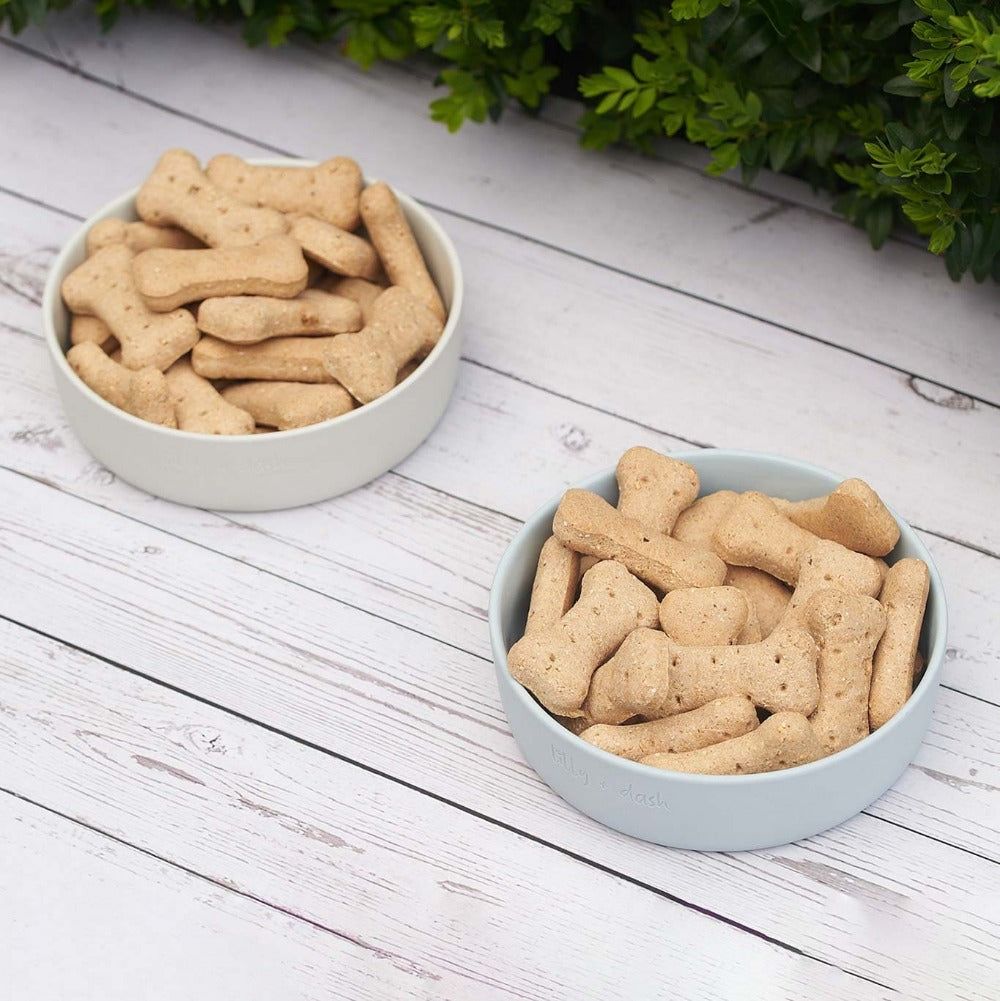 Lilly + Dash Ceramic Dog Bowl | Minimalist Design