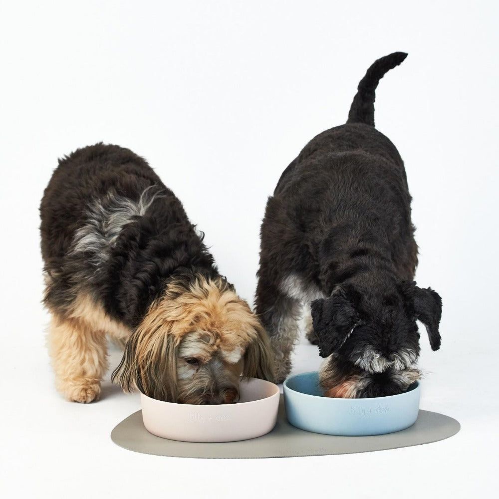 placemat-sand-293776 - Pet Centric