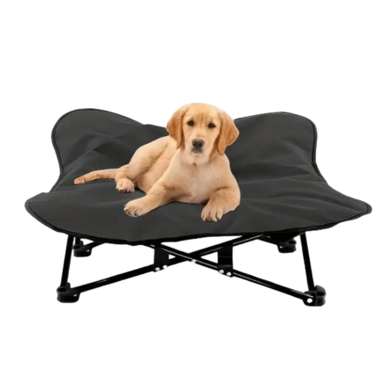 sample_product_17_dd4cf168-5350-4f68-a0ba-3d38a72c99c0 - Pet Centric