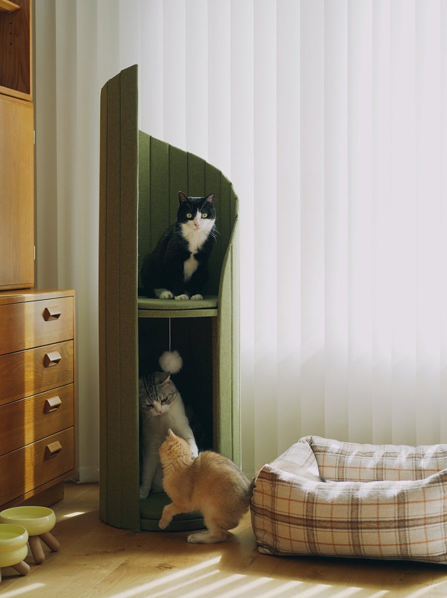time-tower-modern-cat-tree-condo_olive_1 - Pet Centric