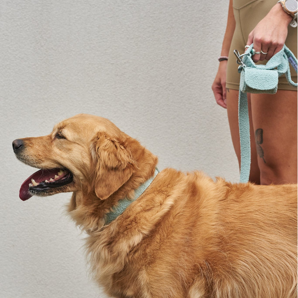 waste-bag-holder-cloud-610030 - Pet Centric